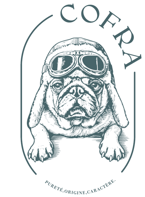 COFRA CAFÉ